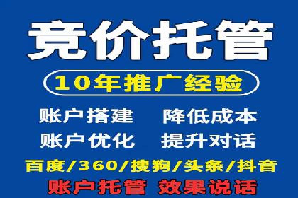 网络营销新篇章：竞价推广案例分析